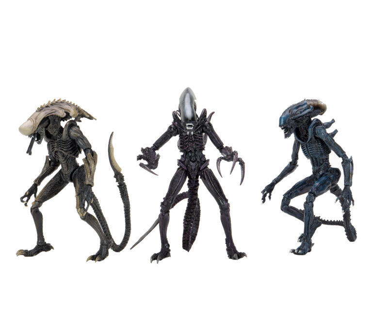 ALIEN vs PREDATOR等のフィギュアセット Alien vs Predator Alien Assortment Arachnoid, Chrysalis and Razor