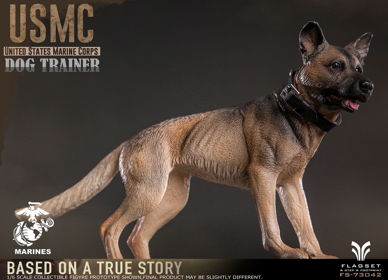 FLAGSET 1/6 アメリカ軍 アメリカ海兵隊 ドッグトレーナー 女性兵士 1:6 Scale Flagset USMC Dog Trainer 12