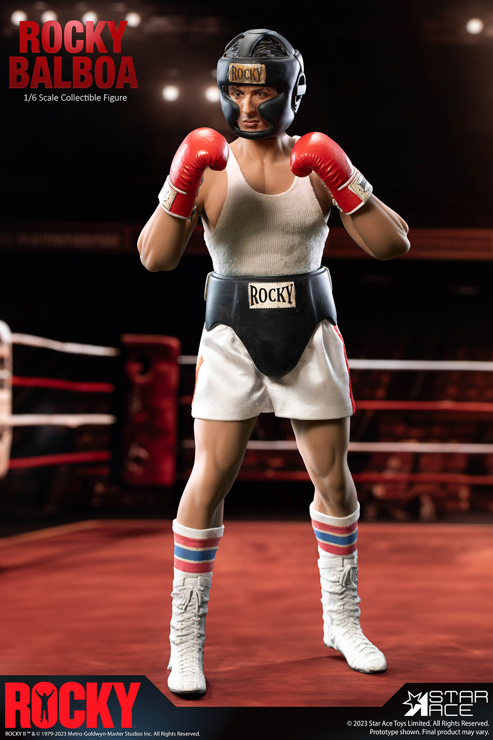 rocky-boxer-
