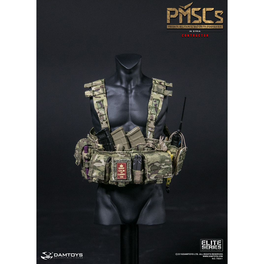 In Stock 1/6 DAMTOYS 78041 Pmscs Security Companies