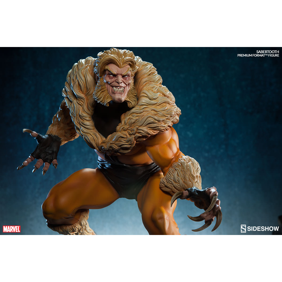 Саблезубый росомаха. Paolo rivera sabertooth. Слушай аудиокнигу саблезубый. Саблезубый алтимейт марвел. Слушай аудиокнигу саблезубый.