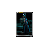 100090 Batman 1:6 trois quart dos