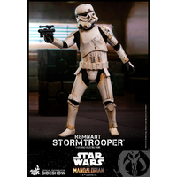 Remnant Stormtrooper The Mandalorian figurine 1:6 Hot Toys 905656