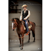 Le cheval de James Dean figurine 1:6 Star Ace Toys Ltd 906703