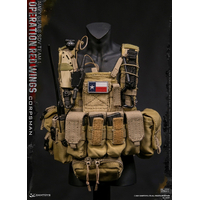 Operation Red Wings Navy Seals SDV Team 1 Corpsman Figurine Échelle 1:6 DamToys 78084
