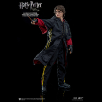 Harry Potter (Triwizard Tournament Version) 1:6 Scale Figure Star Ace Toys Ltd 902514