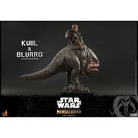 Kuiil & Blurgg 1:6 Scale Figure Set Hot Toys 908593
