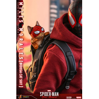 Miles Morales (Bodega Cat Suit) 1:6 Scale Figure Hot Toys 908143