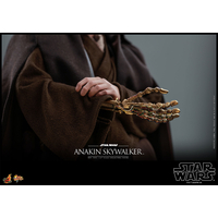 Star Wars: Attack of the Clones Anakin Skywalker 1:6  Scale Figure Hot Toys 912024 MMS677