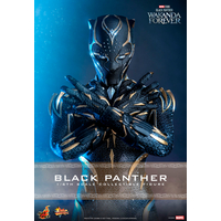 Marvel Black Panther (Wakanda Forever) 1:6 Scale Figure Hot Toys 911962 MMS675