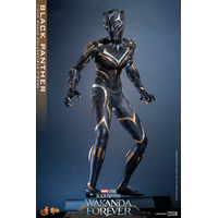 Marvel Black Panther (Wakanda Forever) Figurine Échelle 1:6 Hot Toys 911962 MMS675