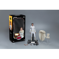 Star Wars L'Attaque des Clones Padmé Amidala Figurine Échelle 1:6 Hot Toys 903720 MMS678