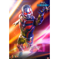 Marvel Ant-Man 1:6 Scale Figure Hot Toys MMS690 912130
