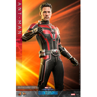 Marvel Ant-Man 1:6 Scale Figure Hot Toys MMS690 912130