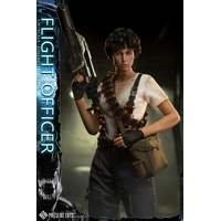 Flight Officer 1:6 Scale Figure Present Toys PST-SP60