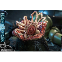 Flight Officer 1:6 Scale Figure Present Toys PST-SP60