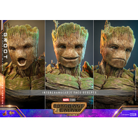 Marvel Groot (Deluxe Version) 1:6 Scale Figure Hot Toys 9123092 MMS707