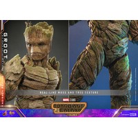 Marvel Groot (Deluxe Version) 1:6 Scale Figure Hot Toys 9123092 MMS707