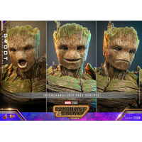 Marvel Groot 1:6 Scale Figure Hot Toys 912309 MMS706