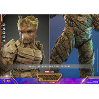 Marvel Groot 1:6 Scale Figure Hot Toys 912309 MMS706