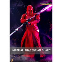 Star Wars Imperial Praetorian Guard (The Mandalorian) 1:6 Scale Figure Hot Toys 912699 TMS108