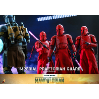Star Wars Imperial Praetorian Guard (The Mandalorian) 1:6 Scale Figure Hot Toys 912699 TMS108