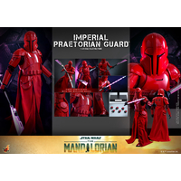 Star Wars Imperial Praetorian Guard (The Mandalorian) 1:6 Scale Figure Hot Toys 912699 TMS108