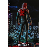 Marvel Spider-Man 2 Peter Parker (Superior Suit) 1:6 Scale Figure Hot Toys 913121 VGM61