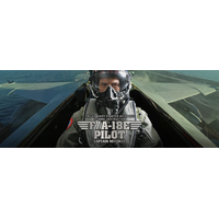 US Navy Fighter Weapons School Instructor F/A-18E Pilot – Captain Mitchell DID MA80170