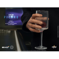 Star Trek: Picard - Capitaine Liam Shaw Figurine Échelle 1:6 EXO-6 (913328)