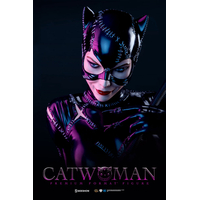 DC Catwoman (Michelle Pfeiffer) Premium Format Figure Sideshow Collectibles 300270