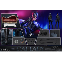DC Femme Chat Version DE LUXE Figurine Échelle 1:6 Eternal ET-X10B
