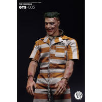 DC The Batman The Madman The Psycho 1:6 Scale Figure Goodtoys Studio GTS003