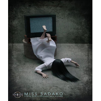 Miss Sadako Ghost 1:6 Scale Action Figure YanToys JR08