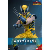 Marvel Wolverine (from Deadpool & Wolverine movie) REGULAR VERSION 1:6 Scale Figure Hot Toys 913487 MMS753