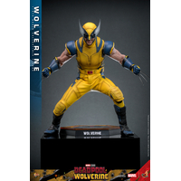 Marvel Wolverine (from Deadpool & Wolverine movie) REGULAR VERSION 1:6 Scale Figure Hot Toys 913487 MMS753