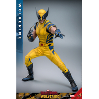 Marvel Wolverine (from Deadpool & Wolverine movie) REGULAR VERSION 1:6 Scale Figure Hot Toys 913487 MMS753