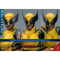Marvel Wolverine (from Deadpool & Wolverine movie) REGULAR VERSION 1:6 Scale Figure Hot Toys 913487 MMS753