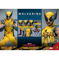 Marvel Wolverine (from Deadpool & Wolverine movie) REGULAR VERSION 1:6 Scale Figure Hot Toys 913487 MMS753