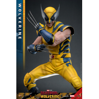 Marvel Wolverine (from Deadpool & Wolverine movie) DELUXE VERSION 1:6 Scale Figure Hot Toys 9134872 MMS754