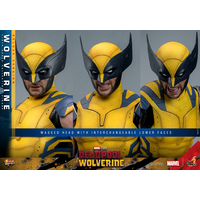 Marvel Wolverine (from Deadpool & Wolverine movie) DELUXE VERSION 1:6 Scale Figure Hot Toys 9134872