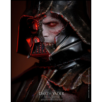 Star Wars Darth Vader (Battle Damaged) DELUXE VERSION SPECIAL EDITION 1:6 Scale Figure Hot Toys 9136123 DX45B