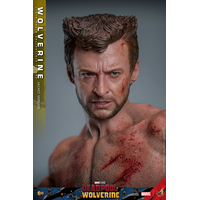 Marvel Wolverine (from Deadpool & Wolverine movie) 1:6 TVA JACKET VERSION Scale Figure Hot Toys 913607 MMS756
