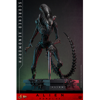 Alien Scorched Xenomorph Figurine Échelle 1:6 Hot Toys MMS784 913989