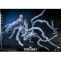 Marvel Spider-Man 2 Peter Parker (Costume Anti-Venom) Figurine Échelle 1:6 Hot Toys VGM69 914002