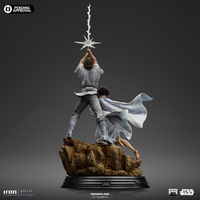 Star Wars Luke et Leia de Luxe Statue Échelle 1:10 Statue Iron Studios (LUCSWR115624-10) 913947