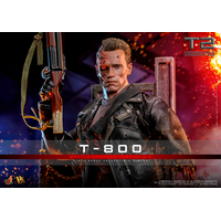 Terminator 2 : Le Jugement Dernier T-800 (Version Endommagée 2_0) Figurine échelle 1:6 Hot Toys DX46 913791