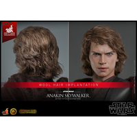 Star Wars Episode III: Revenge of the Sith Anakin Skywalker TM ARTISAN EDITION 1:6 Scale Figure (Toy Fair Exclusive) Hot Toys DX34AE 912537