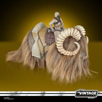 Star Wars The Vintage Collection Bantha & Tusken Raider (Un Nouvel Espoir) Ensemble de 2 figurines échelle 3,75 pouces Hasbro G1300