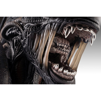 Alien Xenomorph Life-Size Bust Hollywood Collectibles Group 9478 914505